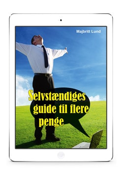 Boeger-selvstaendiges-guide-til-flere-penge